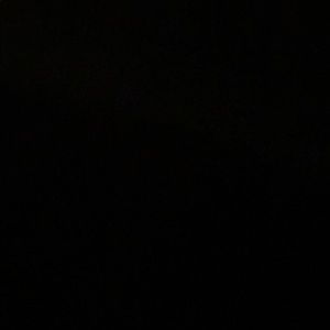 Meet your Posher, Abbey